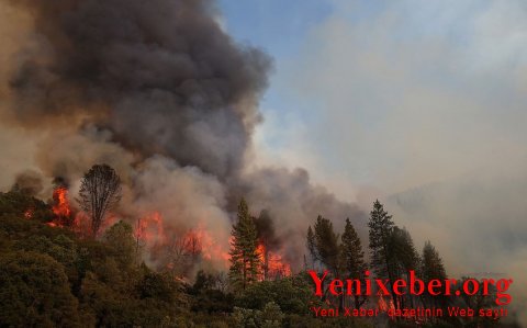 Ukrayna da Türkiyəyə təyyarə göndərəcək