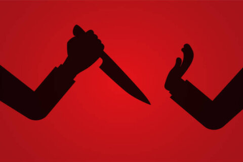 görmək nə vəd edir?